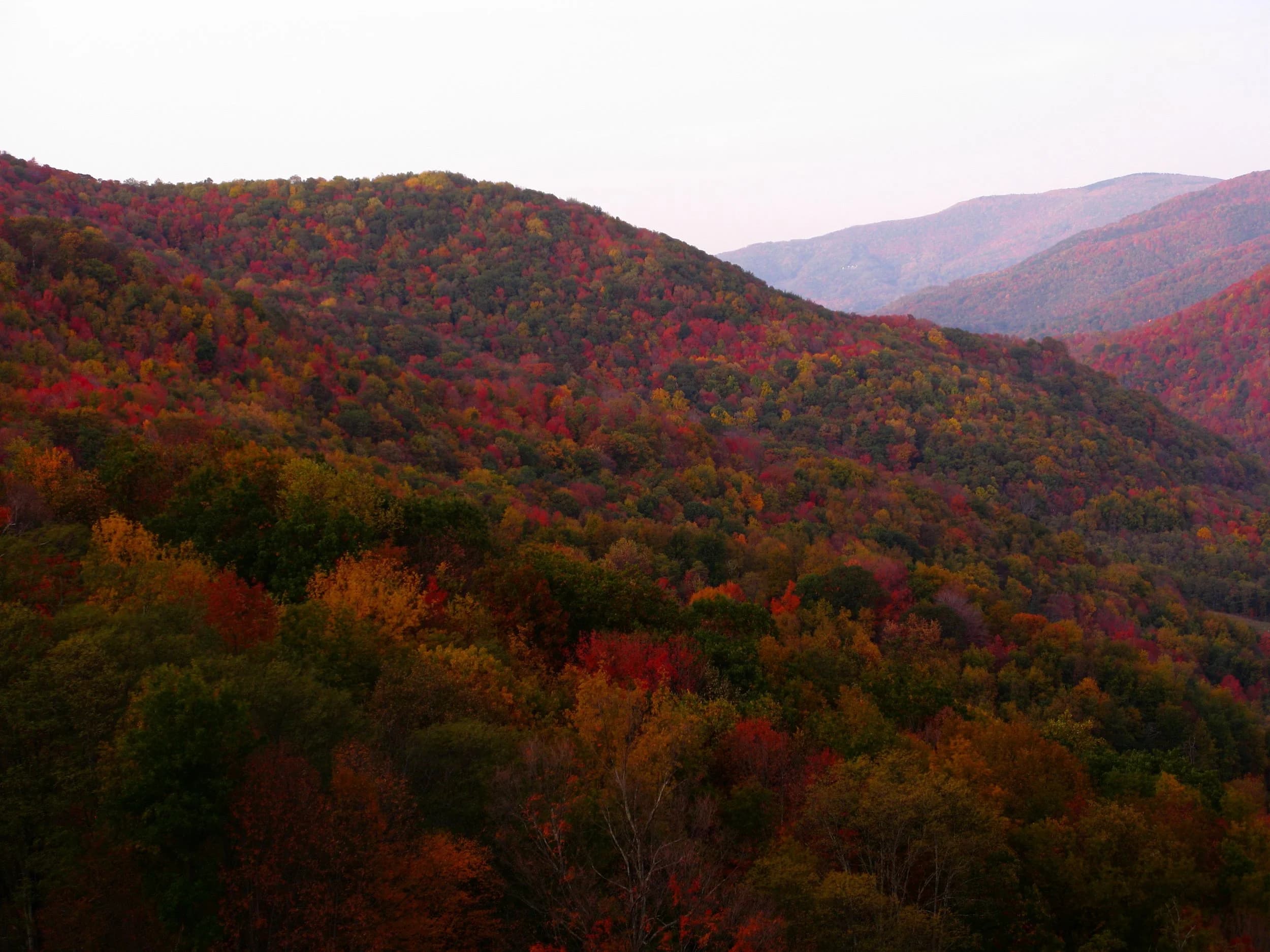 Fall mountains in West Virginia — the season tenants tend to move.